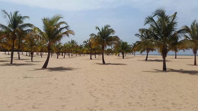 20170215_122827